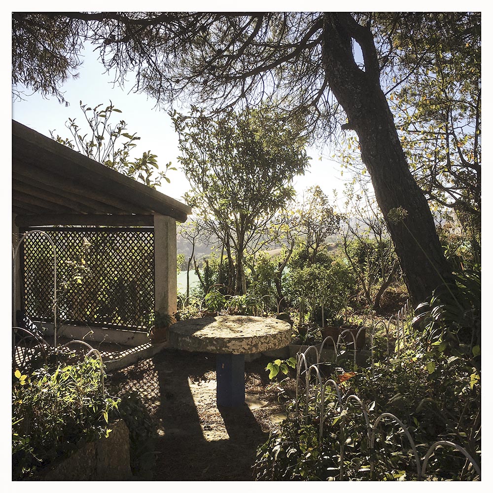 gestabtes licht_S.jpg